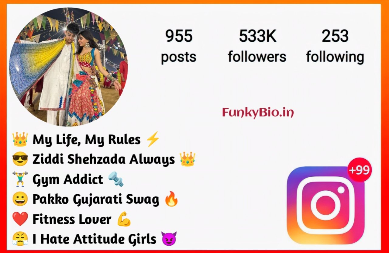 Best Instagram Bio in Gujarati