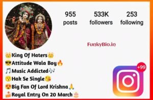 Shree Krishna Bio For Instagram